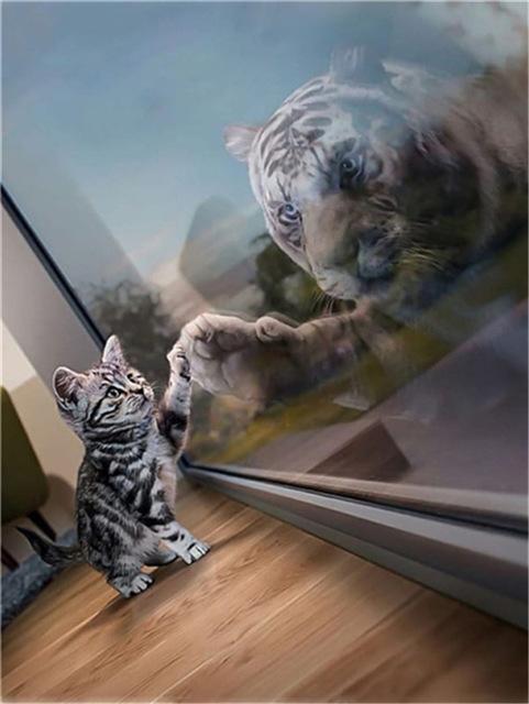 Broderie cu diamante 5D cu punct de cruce Wolf Diamond Art Painting Mozaic alb-negru Cadou lucrat manual