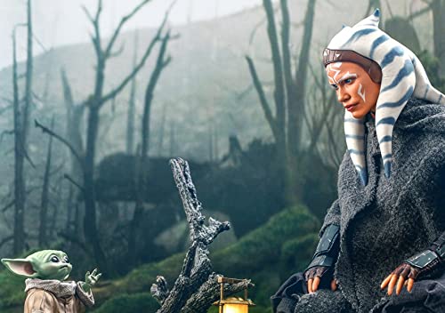 Hot Toys [TV Masterpiece DX] "The Mandalorian" 1/6 Scale Figure Ahsoka Tano [Bonus Accessory Included]