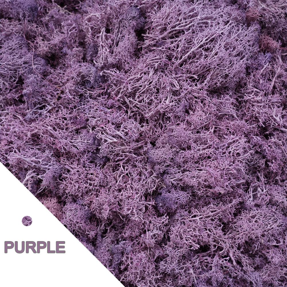 

Artificial Green Plants Eternal Life Moss Grass Mini Landscape DIY Crafts Fake Grass for Garden Home Hotel Decoration 60/100g 60gram