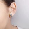Best-selling 1 Carat D Color Moissanite Six-Claw S925 Sterling Silver Stud Earrings with Threaded Back
