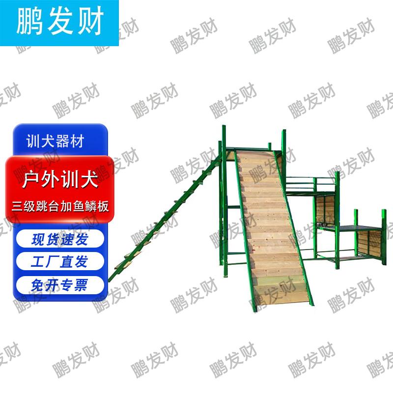 Professional Outdoor Dog Agility Training Equipment