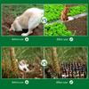 Keep Pets Off Anti-Cats Digging Stopper 2m/4m Cat Repellment Mat Cat Scat Mat with Spikes  Indoor