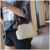 Mouth Gold Small Bag Female Wild Messenger Bag Chain Shoulder Fashion Clip Mouth Straw Bag