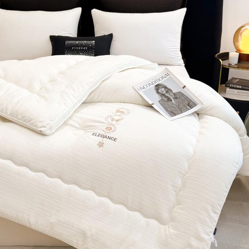 PAUI DAVID All-Season Soft Embroidered Quilt
