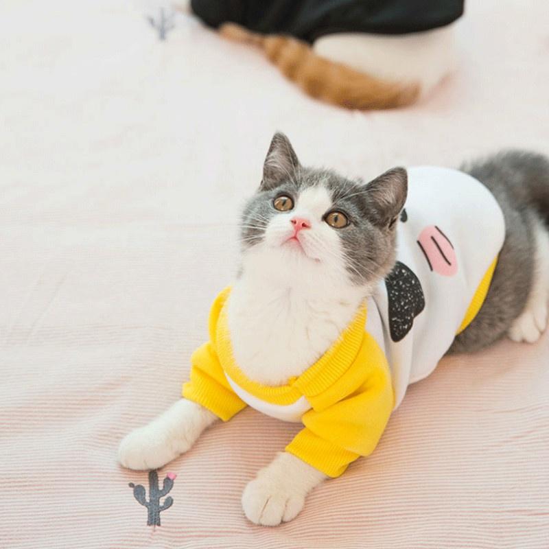 cute cat sweater