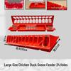 Long Strip Chick Feeder & Feed Trough for Chickens, Pigeons, and Quail