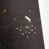 Hobonichi Techo Kubo Hiroko Graph Paper Notebook (A5) Tonights Sparkler Star Shower Planner Accessory