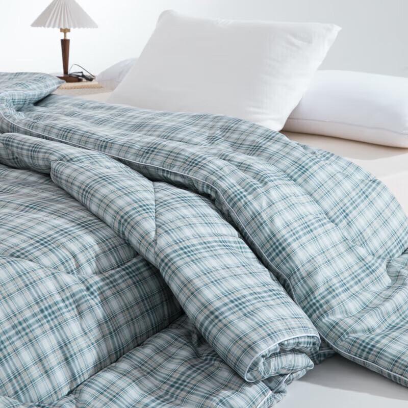 Muji Washable Mulberry Silk & Feather Cotton Protein Winter Quilt