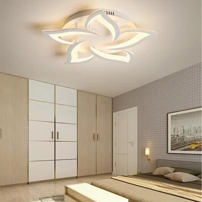 LED Ceiling Light Modern Acrylic Decor Lamp For Bedroom Living Room Study Entaance Dining Room Home Creativity Decorative Lamp