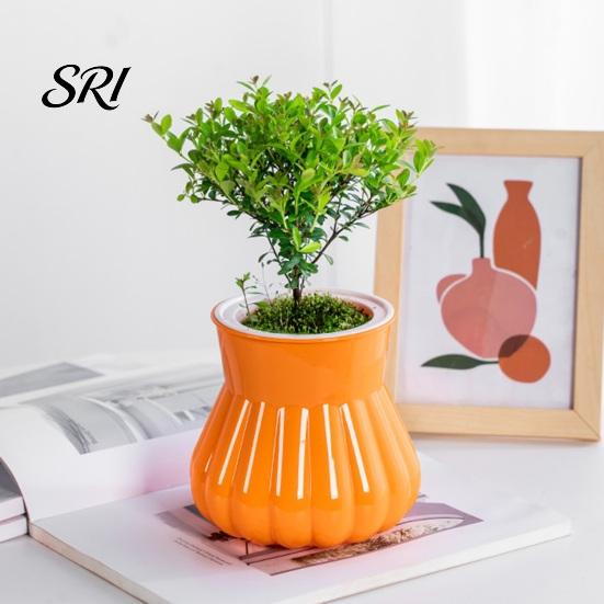 Lazy Gardener Flowerpot Self-watering with Self-absorbing Cotton Rope Creative Plastic Plant Pot Indoor Vertical Grain Glass Planter Inner Cup