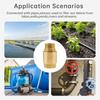 Brass Spring Check Valves 3/4 Thread Horizontal Inline One Way Flows Inline Check Valves for Well Pump & Water Tank