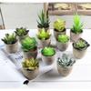 Simulate Potted Plant Cute Microlandschaft Home Office Hotel Decoration