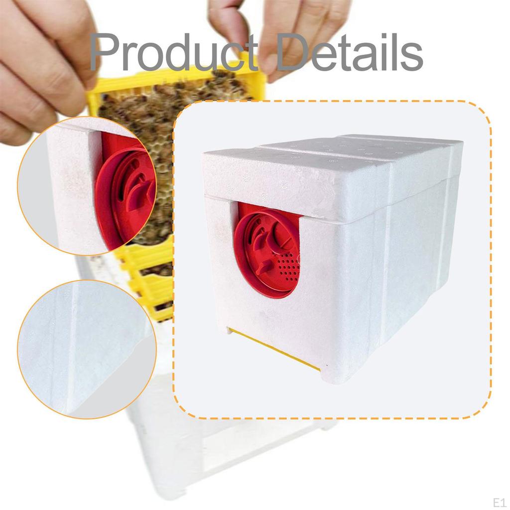 Bee Breeding Box, Mating with 4-frame Box for NUC
