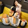 Niangkou Sansan Natsume Friend Account Cat Teacher Doll Plush Toy Cute Doll Doll Sleeping Pillow Girl