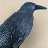 Simulace Crow Černý havran Repelent proti ptákům Přírodní repelent proti holubům Repelent pro havrany Děsivé dekorace Party potřeby