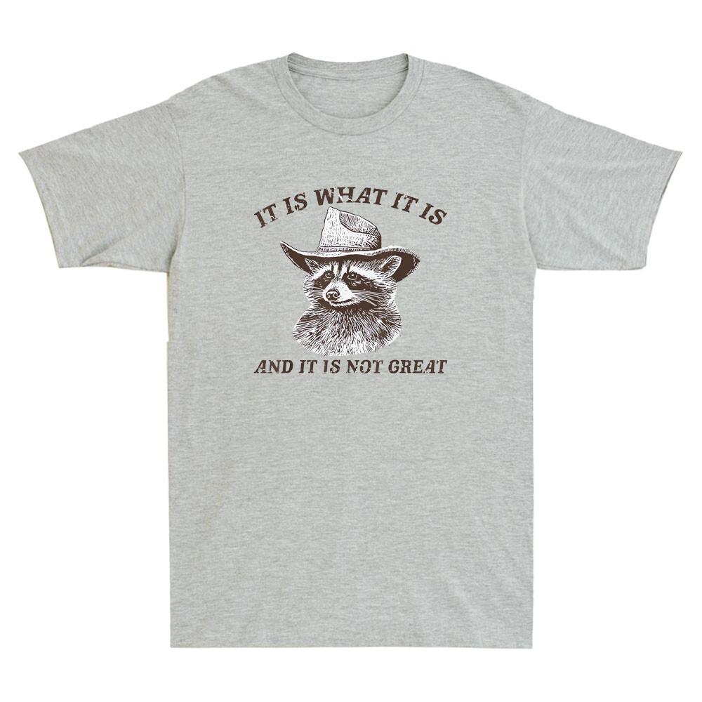 It Is What It Is And It Is Not Great Funny Raccoon Humor Quote Retro Men T-shirt S