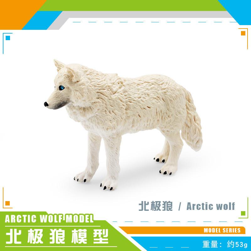 High-quality Arctic Wolf Models Featuring Howling Walking And Baby Wolf Designs
