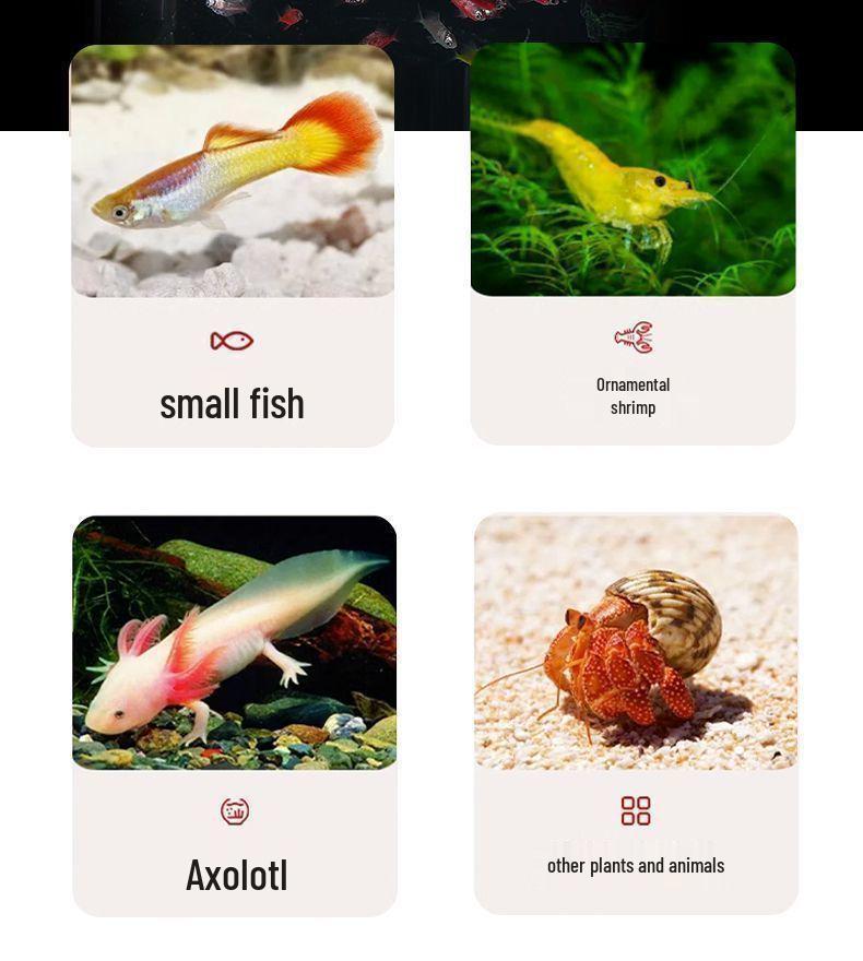 2025 Eco-Friendly Acrylic Fish & Turtle Tank with Drainage and Lid for Living Room