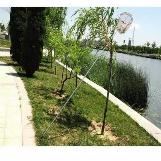 Telescopic Poultry Catching Net for Chickens, Ducks, Geese, and Pigeons