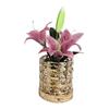Yousheng Decorative Lights Lily Table Lamp USB Rechargeable Acrylic Crystal Vase Lamp with 3 Color Touch Dimmable Night Light for