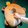 3-in-1 Capybara Throw Pillow PP Cotton Filled Air Conditioning Blanket Cartoon Hand Warmer Animal Pattern Portable Warm Blanket