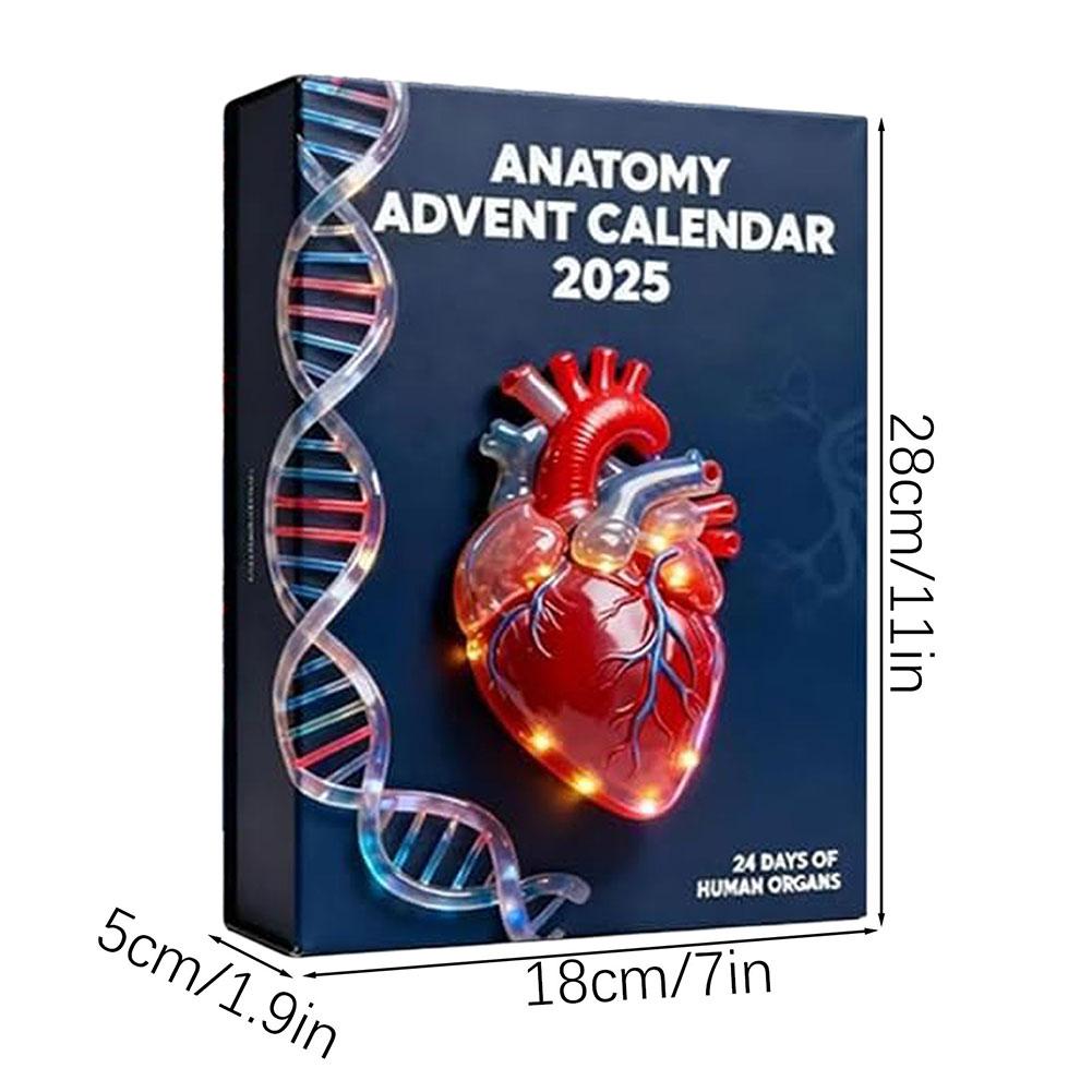 2025 Anatomys Advents Calendar Xmas Tree Hanging Pendants For Christmas Tree Decoration