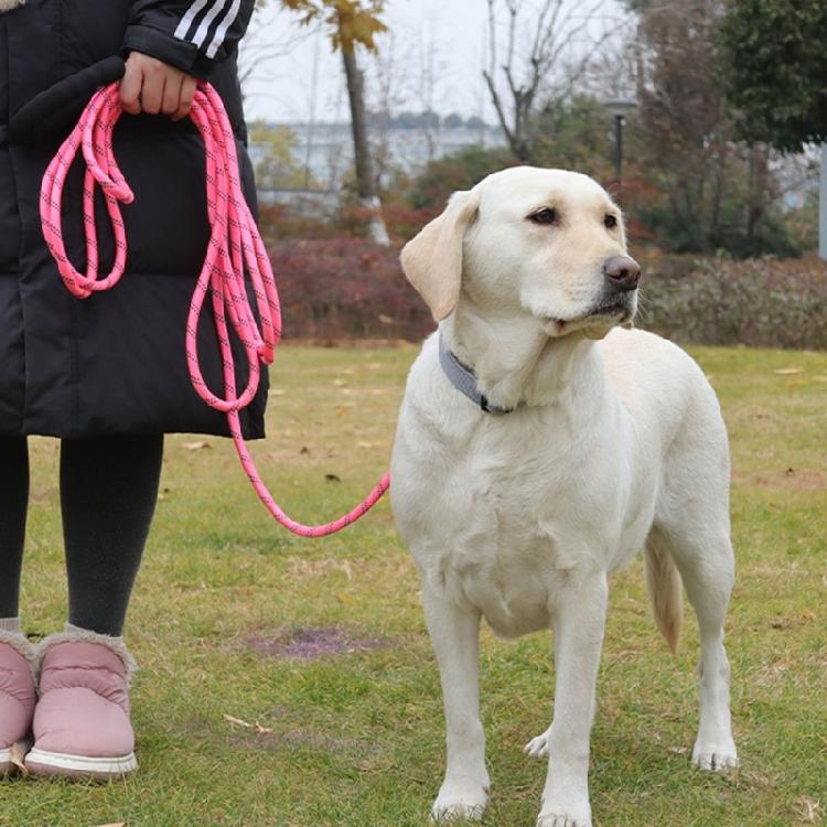 Extra Long Dog Leads 5M 10M With Soft Padded Handle And Reflective Design Perfect For Recall Training