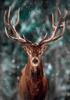 Ob_L_111 Diamond Painting 30X40 - Zwierzeta, Jelen