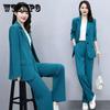 2PCS Women's Spring and Summer Thin Blazer Suit Professional Wide Leg Pants + Loose Jacket Two Piece Set Ladies Casual Elegant Suit