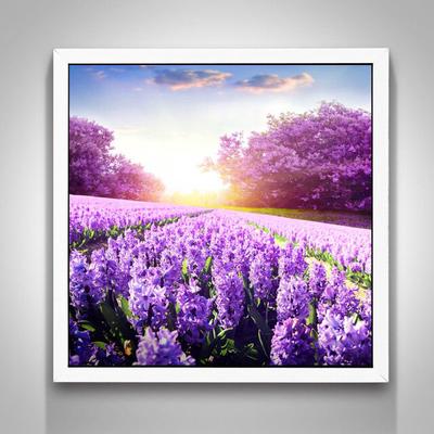 Lavender Home Decoration Painting Wall Pictures for Living Room Paris for Students Landscape