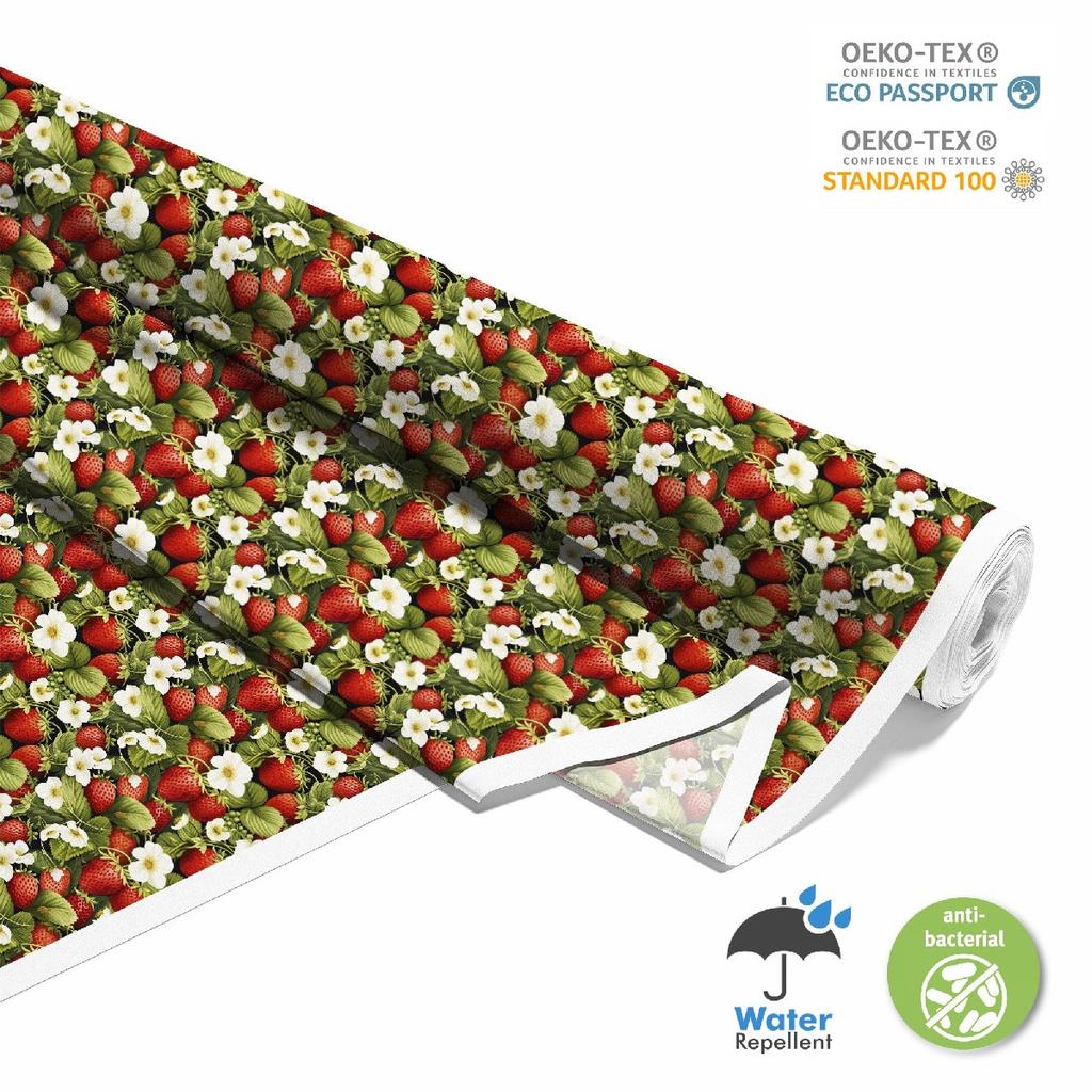 Outdoor Dekostoffe Oxford - Motiv Obst | Dx6125