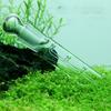Fische & Meerestiere – Aquarienpflege