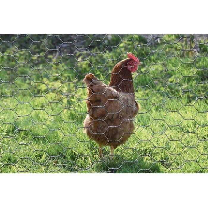 Grillage hexagonal galvanisé - NATURE - 0,5 x 10 m - Ep. 13 mm - Gris