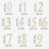 Wooden Baby Milestone Photo Props - English Numbers & Months