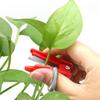 Fruit and Vegetable Picking Knife Home Vegetable Picking Thumb Clip Green Bean and Cucumber Picking Fruit Small Guillotine Knife