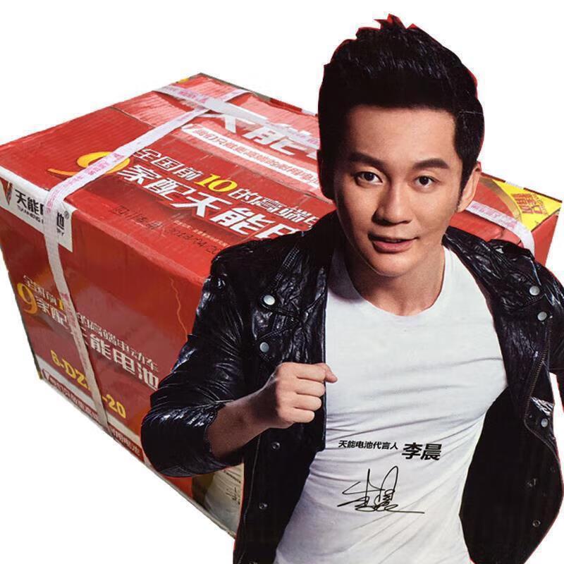 Tianneng Electric Vehicle Power System