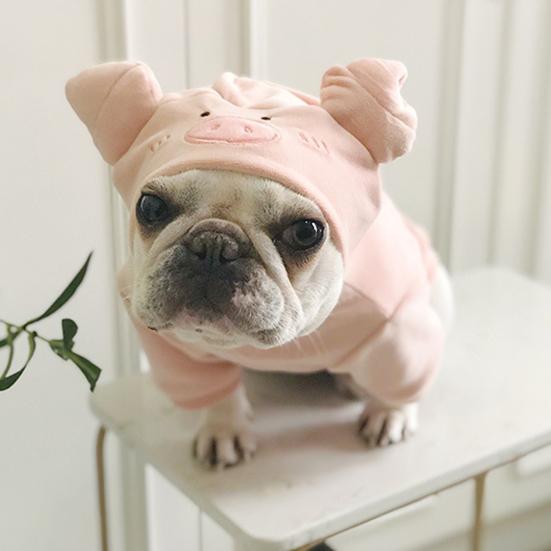 Yousheng Haustierkostüm Schwein Cosplay Atmungsaktive weiche Katze Hund Winterwarme Kleidung für