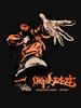 Pantera Limp Bizkit Significant Other Essential Unisex T-Shirt