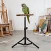 Alloy Bird Training Perch Adjustable Height Outdoor Bird Stand  Indoor Play Area