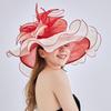 2024 New Organza Big Brim Top Hat Women'S Spring And Summer Sunscreen Sun Hat European And American Fashion Flower Sun Hat Wholesale