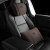 Compatible Headrests & Lumbar Supports for Geely Xingyue L, Emgrand L, Binrui, Vision, and Boyue Vehicles.