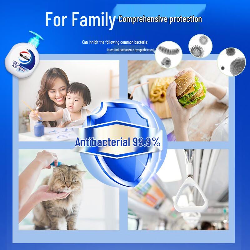 Walch Healthy Antibacterial Hand Sanitizer