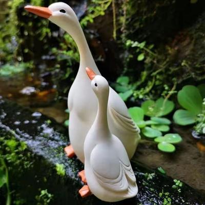 Boligdekorationer – Dekorative terrarier