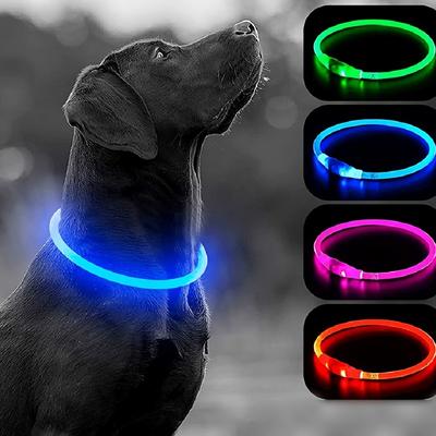 Collier lumineux pour chien brillant, recharge USB sûr pour la nuit, collier lumineux réglable pour les promenades nocturnes