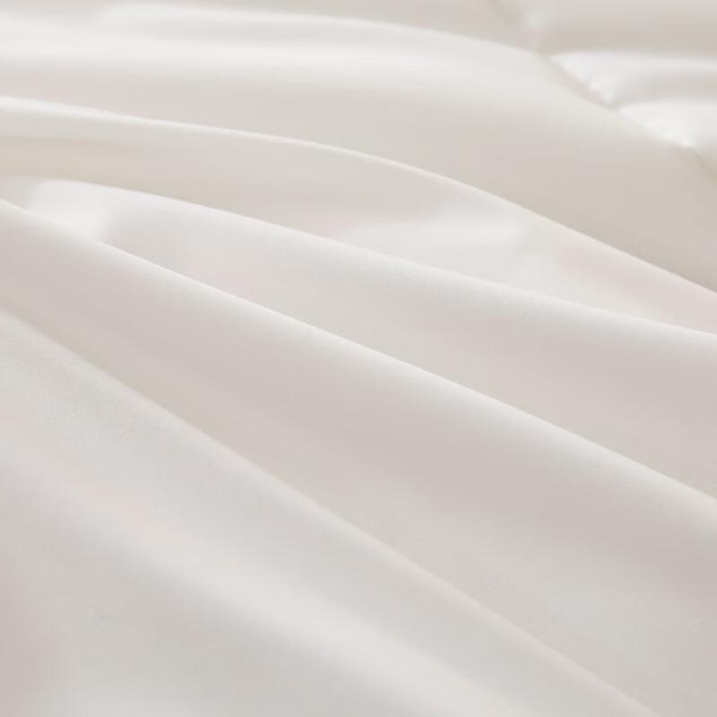 Paul Frank Monkey Sandwich Wool Quilt PF4607105