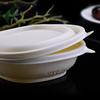 Disposable Corn Starch Square Food Container 450ml