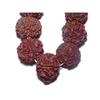 Pure 5 Mukhi Rudraksha Mala Big Size 108+1 Beads S1218