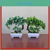 Artificial Plant Pot With Mini Tree Home Decor For Living Room And Office