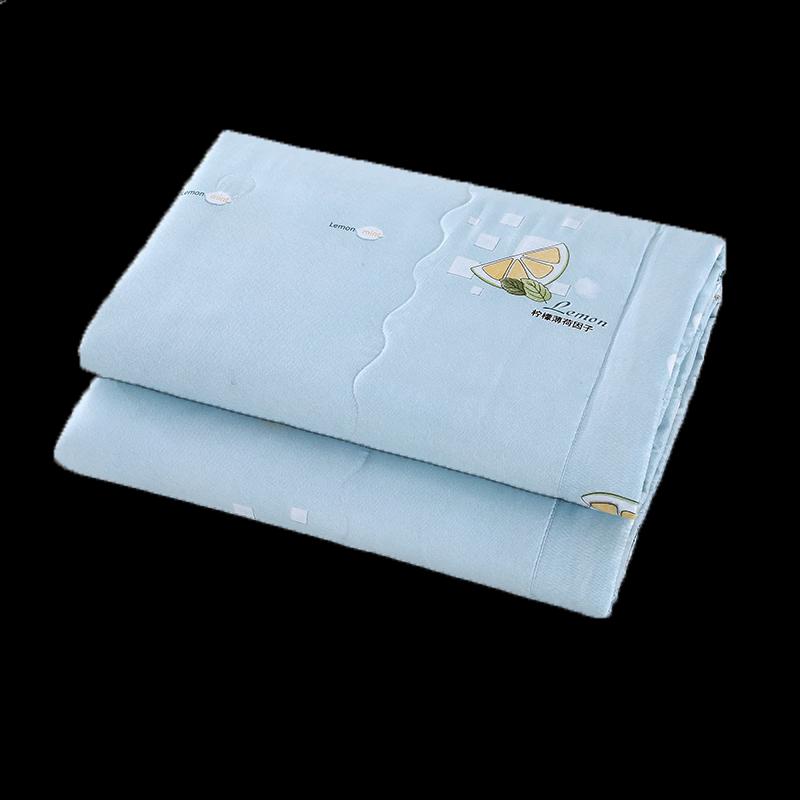 

Jinxuexiang 5A Cooling Peppermint Summer Quilt