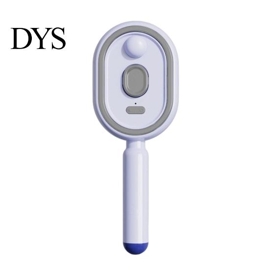 Smooth Styling Hair Brush Electric Spray Air Cushion 2-In-1 Misting with Natural Hairstyle Water Reduce Frizz Anti-Static Retractable Steam